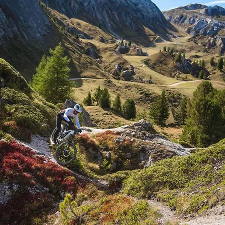 Bouquetin- Mouflon La Plagne