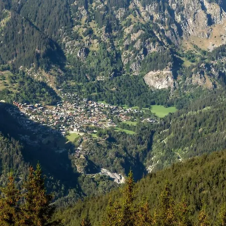Bouquetin- Mouflon * La Plagne