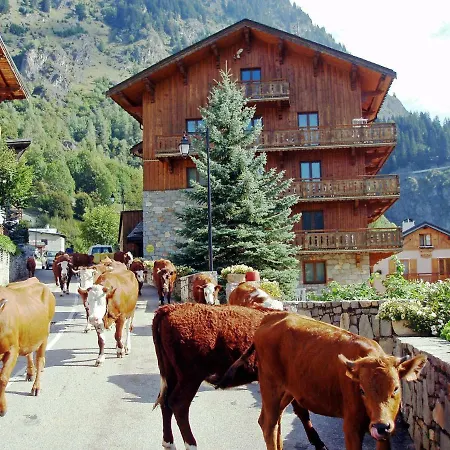 Bouquetin- Mouflon Apartamento *